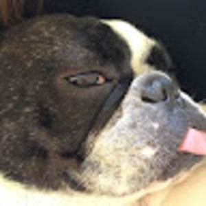 Meet your Posher, Yvette y